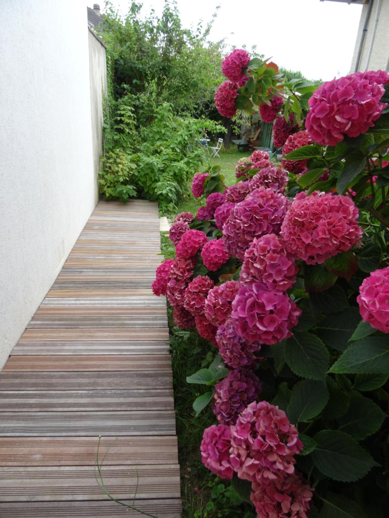 Maison D'Hotes Les Roses Tremieres Saclay Extérieur photo